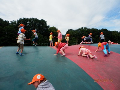 ŠVP 1.třída + MŠ 2016