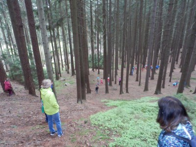 ŠVP Chata Doubravka 2017