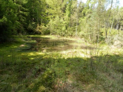 ŠVP Chata Doubravka 2017