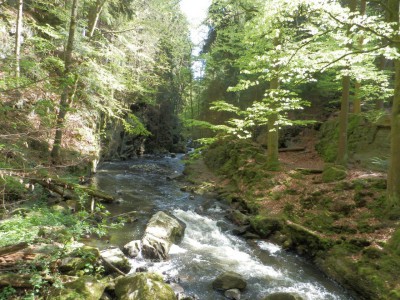 ŠVP Chata Doubravka 2017