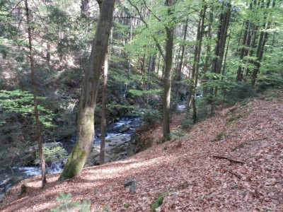 ŠVP Chata Doubravka 2017