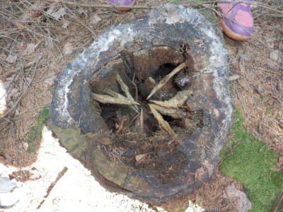 ŠVP Chata Doubravka 2017