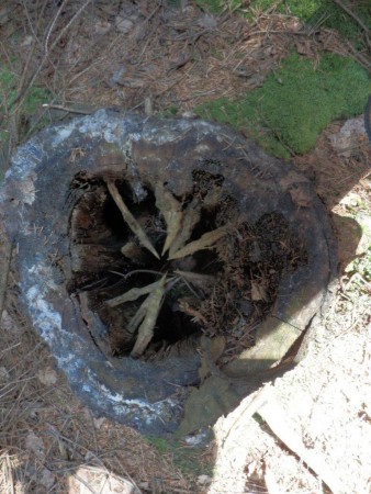 ŠVP Chata Doubravka 2017