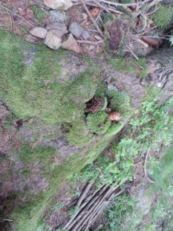 ŠVP Chata Doubravka 2017