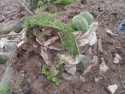 ŠVP Chata Doubravka 2017