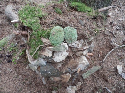 ŠVP Chata Doubravka 2017