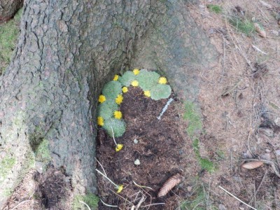 ŠVP Chata Doubravka 2017