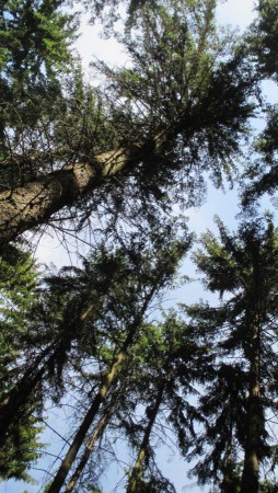 ŠVP 1.třída + MŠ 2017