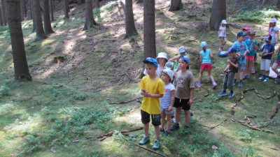 ŠVP 1.třída + MŠ 2017