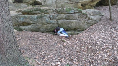 ŠVP 1.třída + MŠ 2017