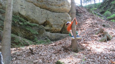 ŠVP 1.třída + MŠ 2017