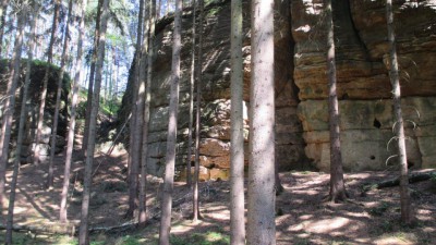 ŠVP 1.třída + MŠ 2017