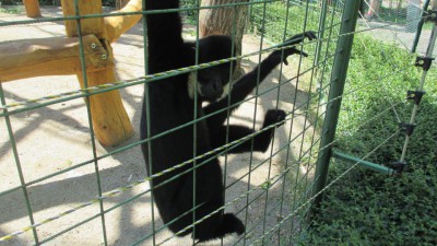 ŠVP 1.třída + MŠ 2017